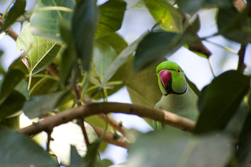 Photograph by mayur shrimali