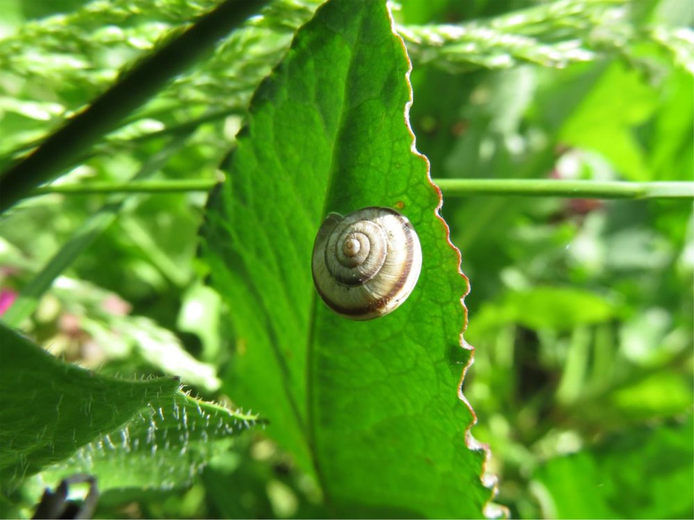 Photograph by Elena Popova