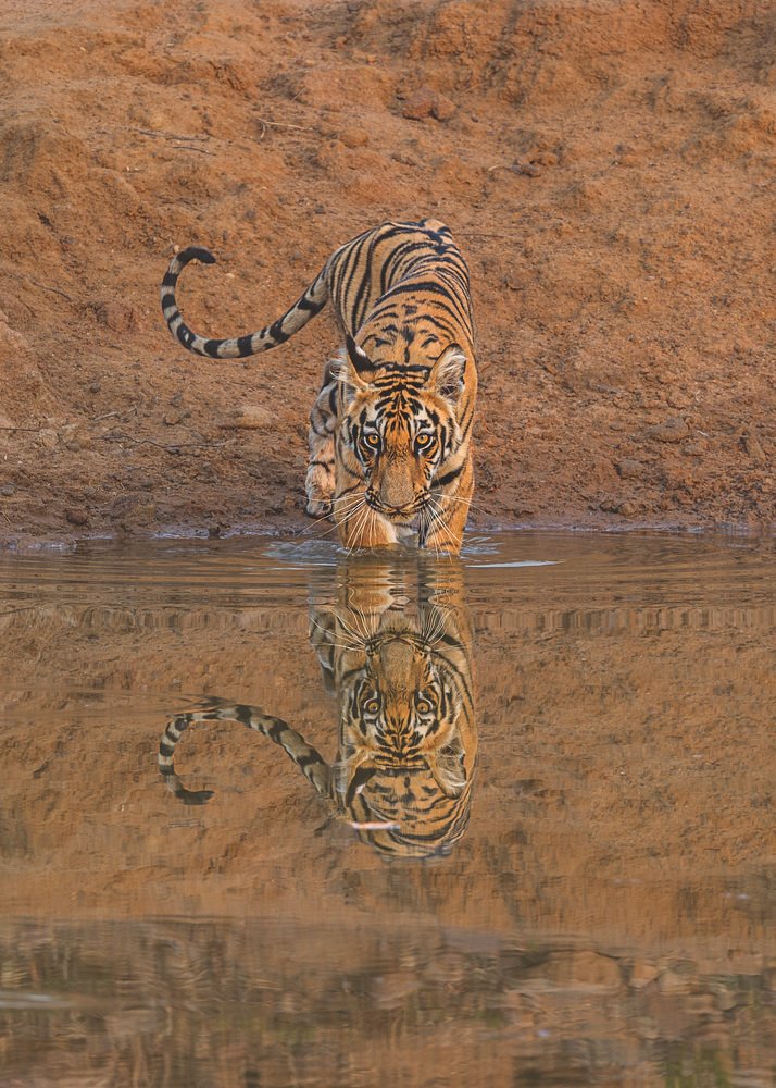 Photograph by Lionel falcao