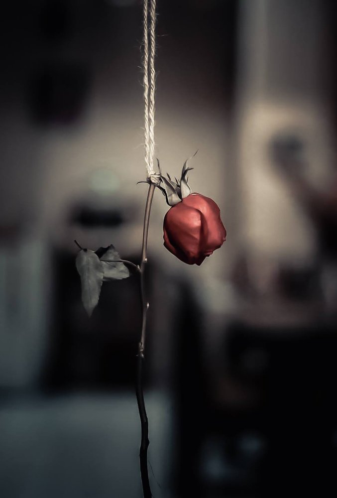 When angel deserves to Die.