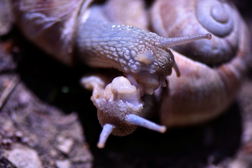 Photograph by Marija Milosavljevic