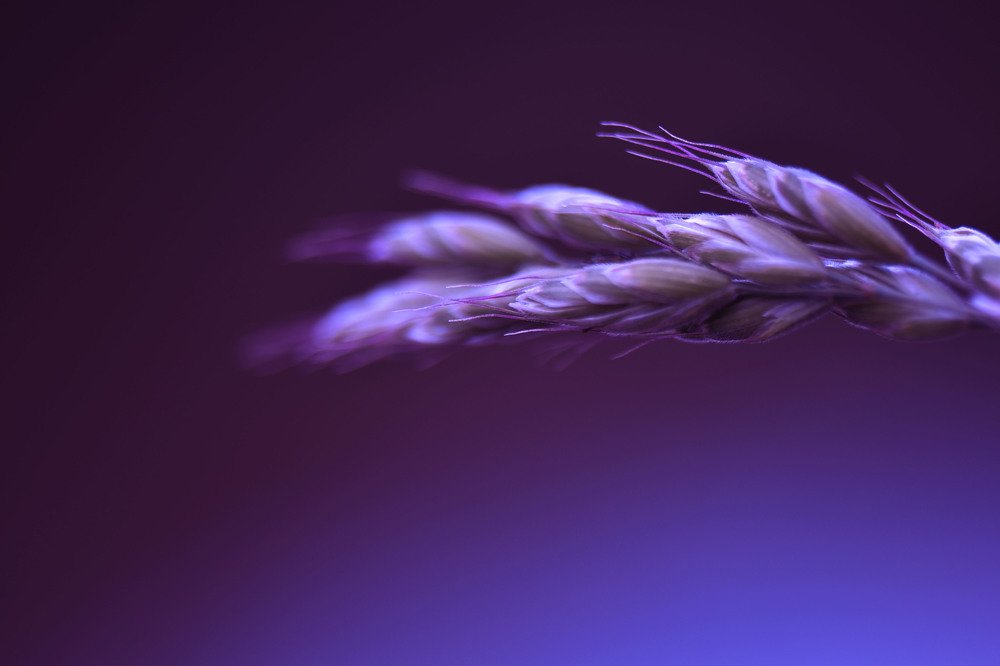 Photograph by Marija Milosavljevic