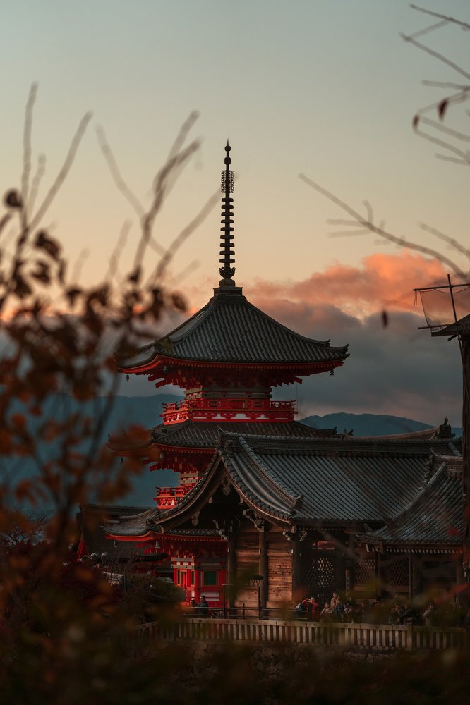 Фотография автора Maggie Ng