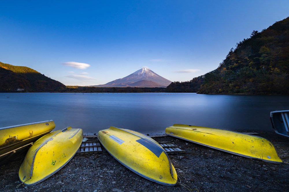 Фотография автора Maggie Ng