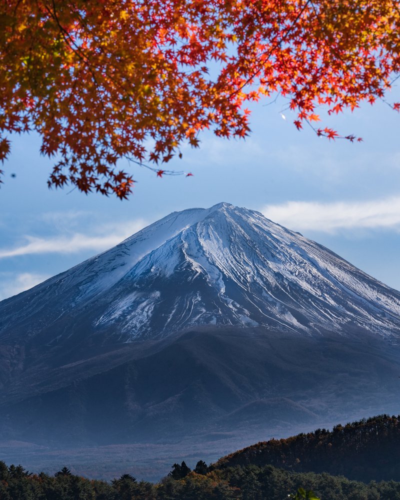 Фотография автора Maggie Ng