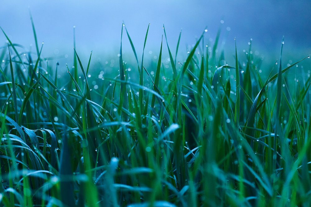 Photograph by Александр Мячин