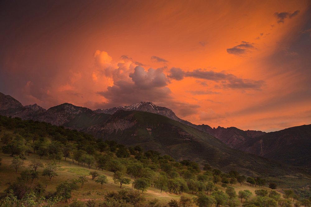 Photograph by Андрей Любицкий