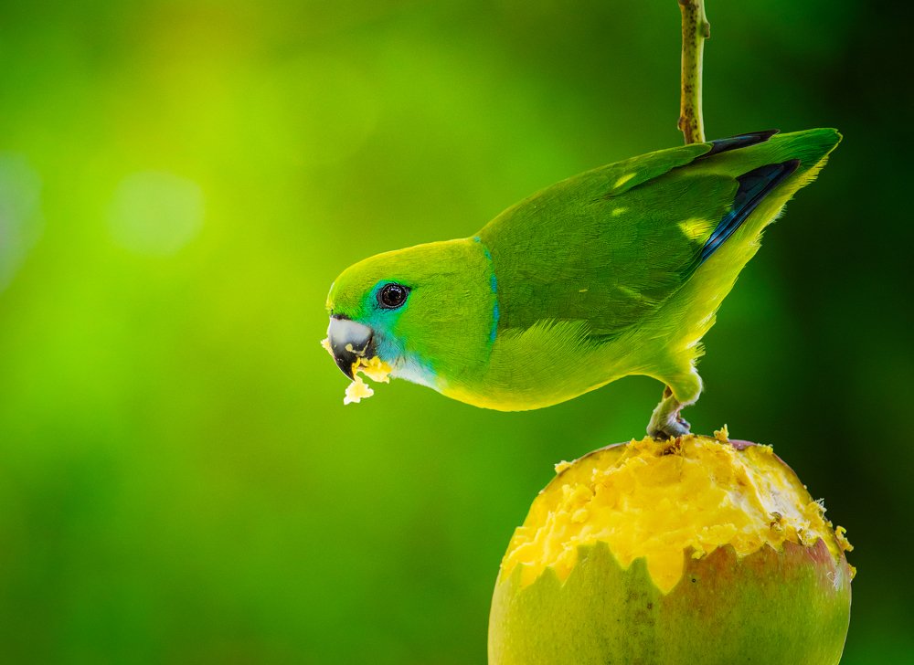 Photograph by Kirkamon Cabello