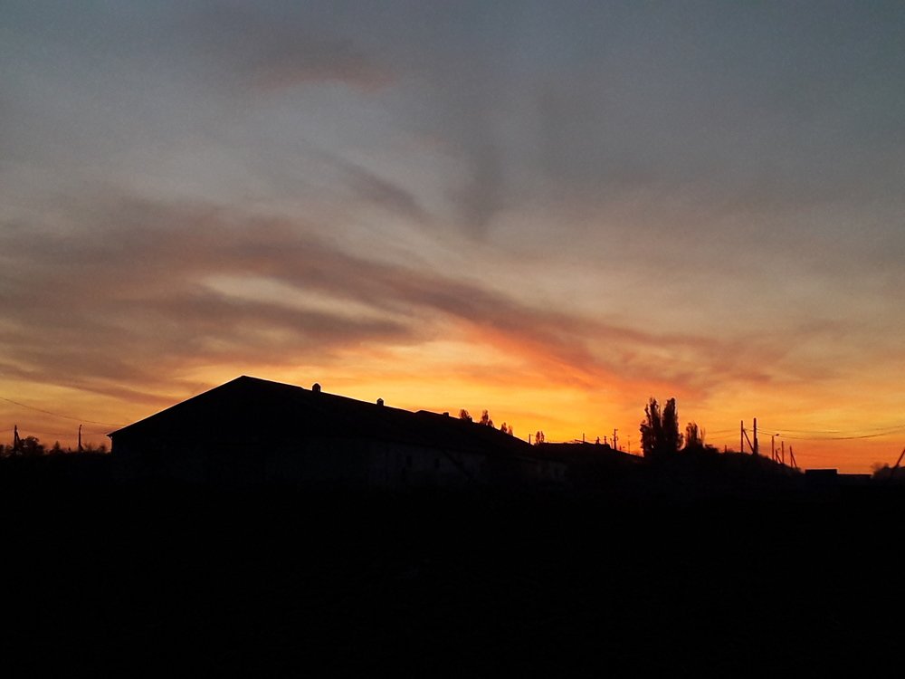 Photograph by Полина Погоняйло