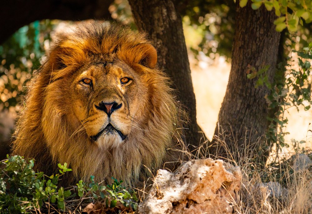 Photograph by Abed Abedaljalil