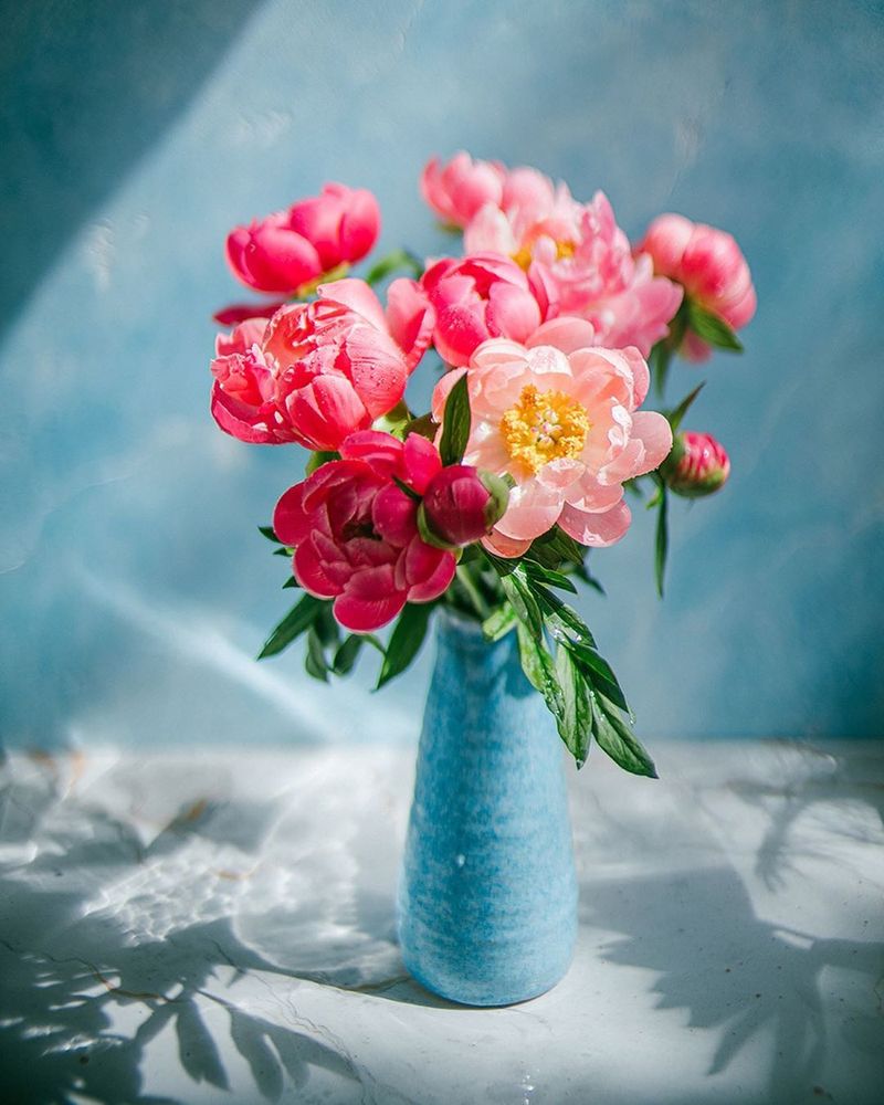 Фотография автора Анастасия Зубкова