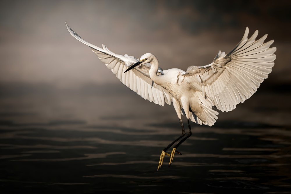 Photograph by Jean pierre