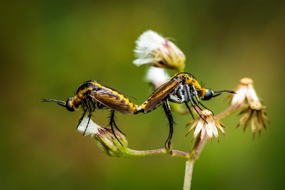 Photograph by Nishanth Neelayi