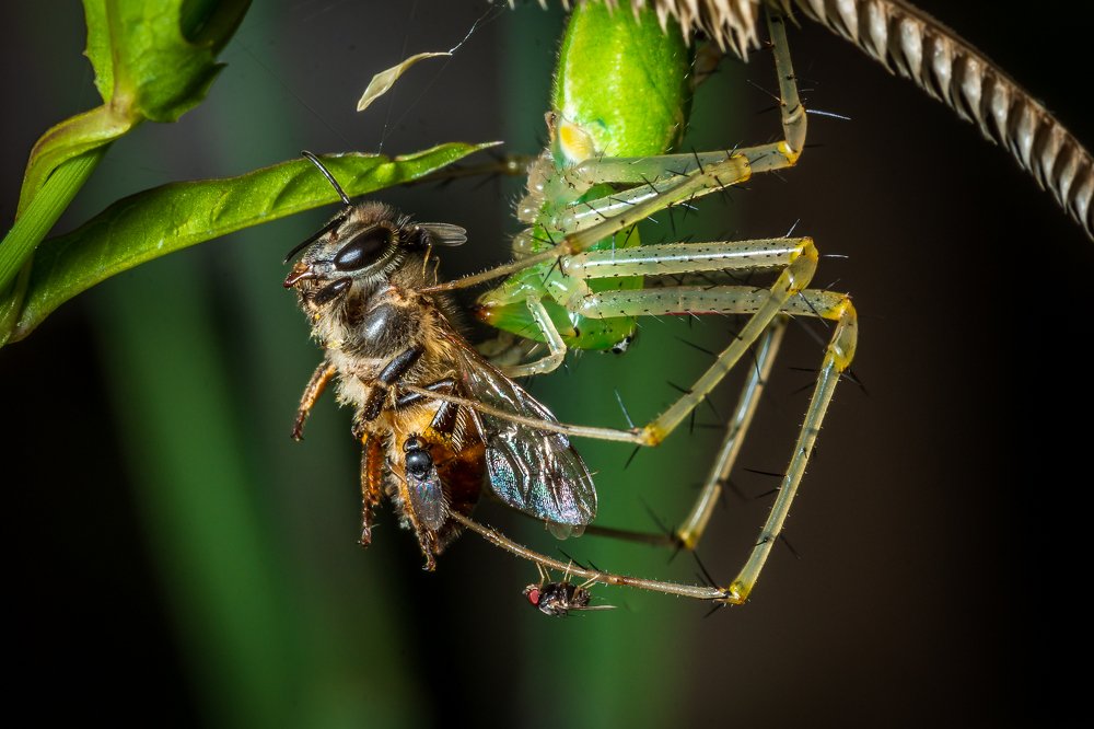 Photograph by Nishanth Neelayi