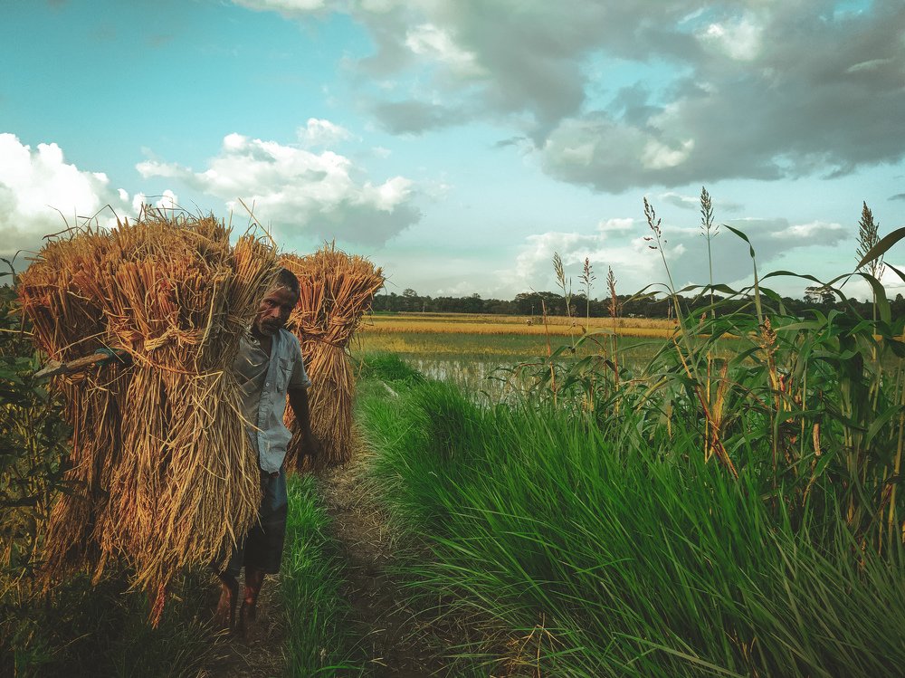 Photograph by Shahin Hossain