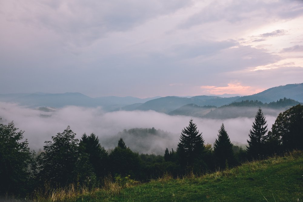 Photograph by Антонина Вишневская