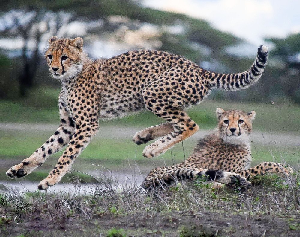 Photograph by Emanuel Mollel