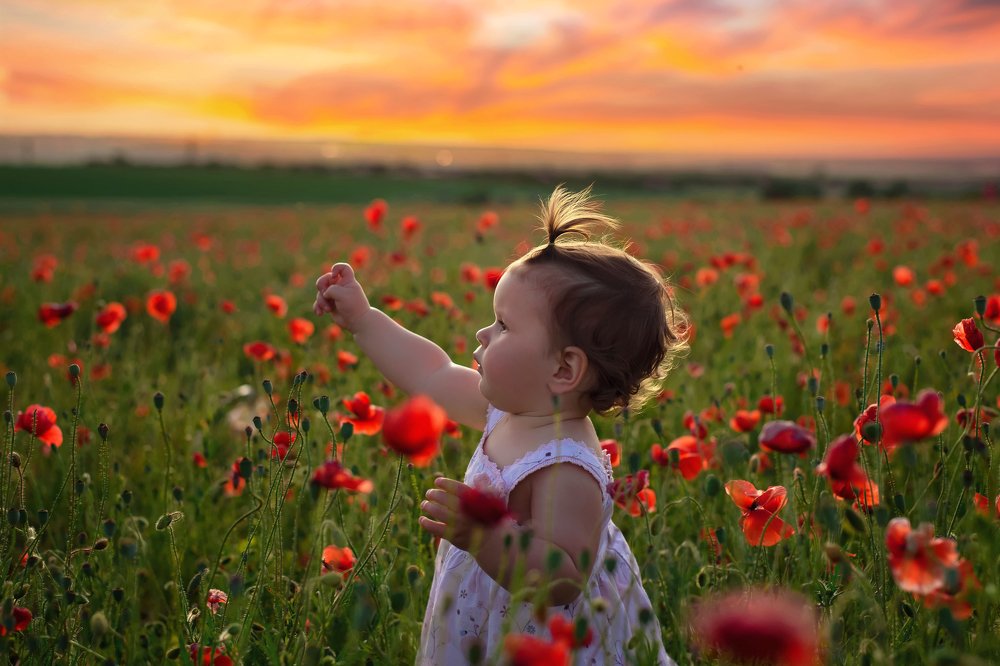 Photograph by Екатерина Лелица