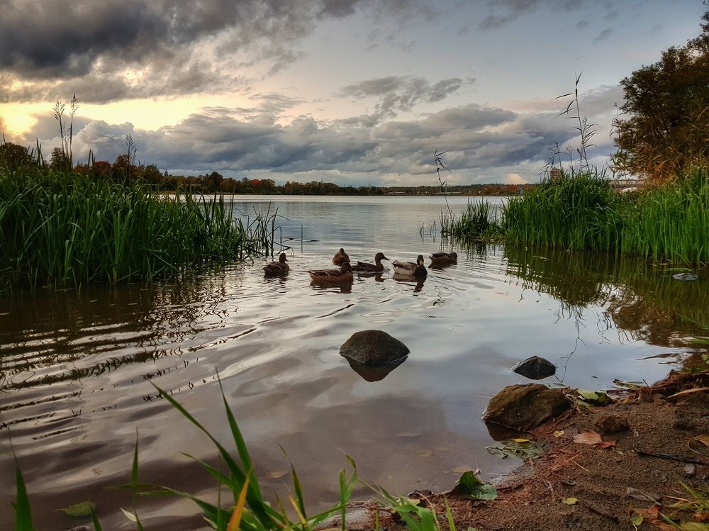 Photograph by Наталья Абилова