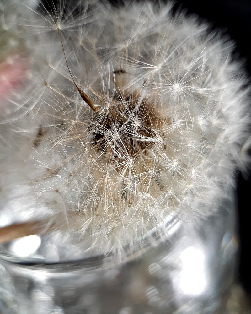 Photograph by Inessa Botasheva