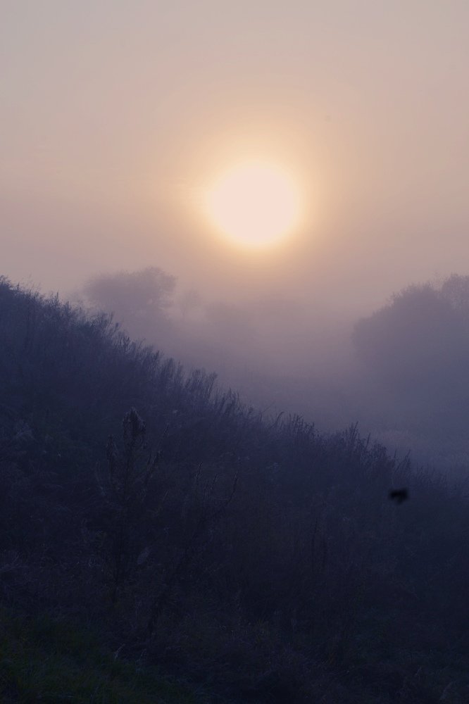 Photograph by Валентина Новобранец