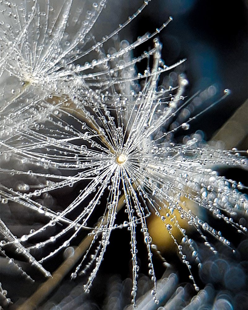 Photograph by Inessa Botasheva