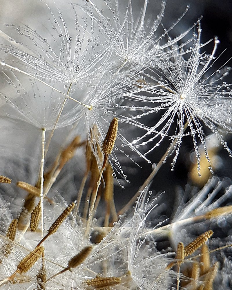 Photograph by Inessa Botasheva