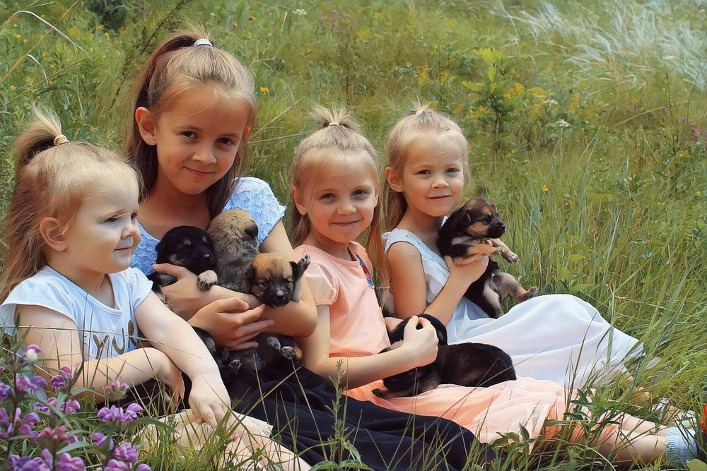 Photograph by Елизавета Синица