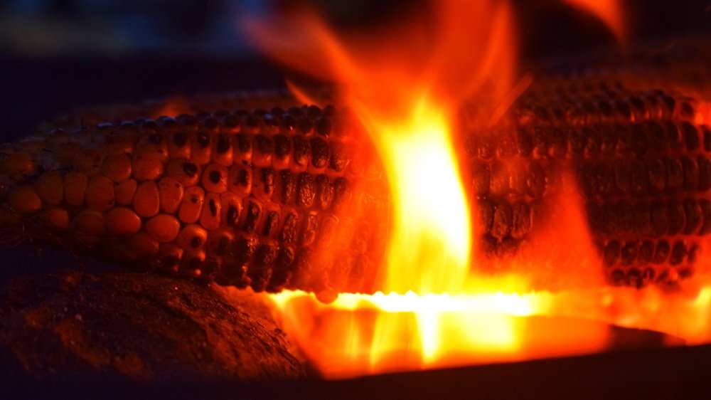 Tasty flame