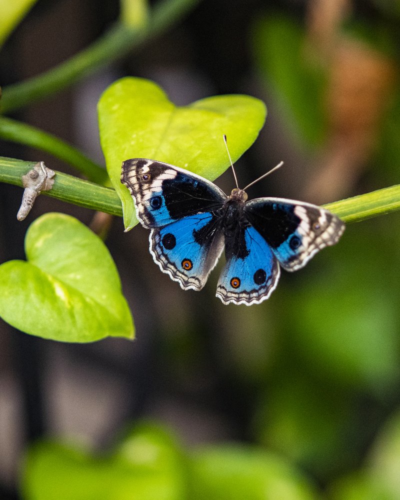 Photograph by Preet saluja