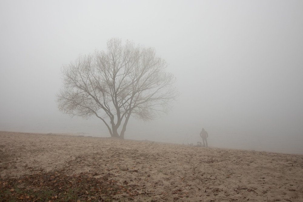 Photograph by Lyudmyla Yermakova