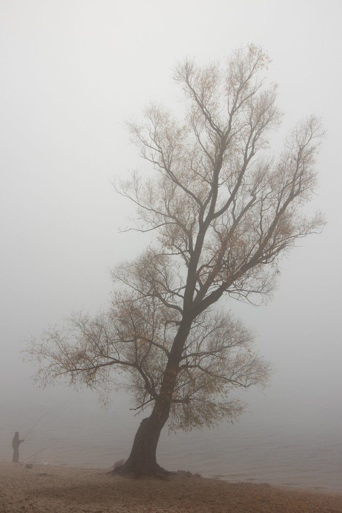 Photograph by Lyudmyla Yermakova