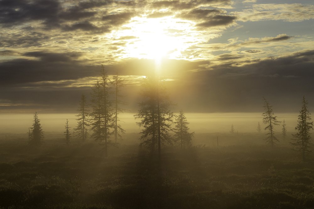 Туманный закат