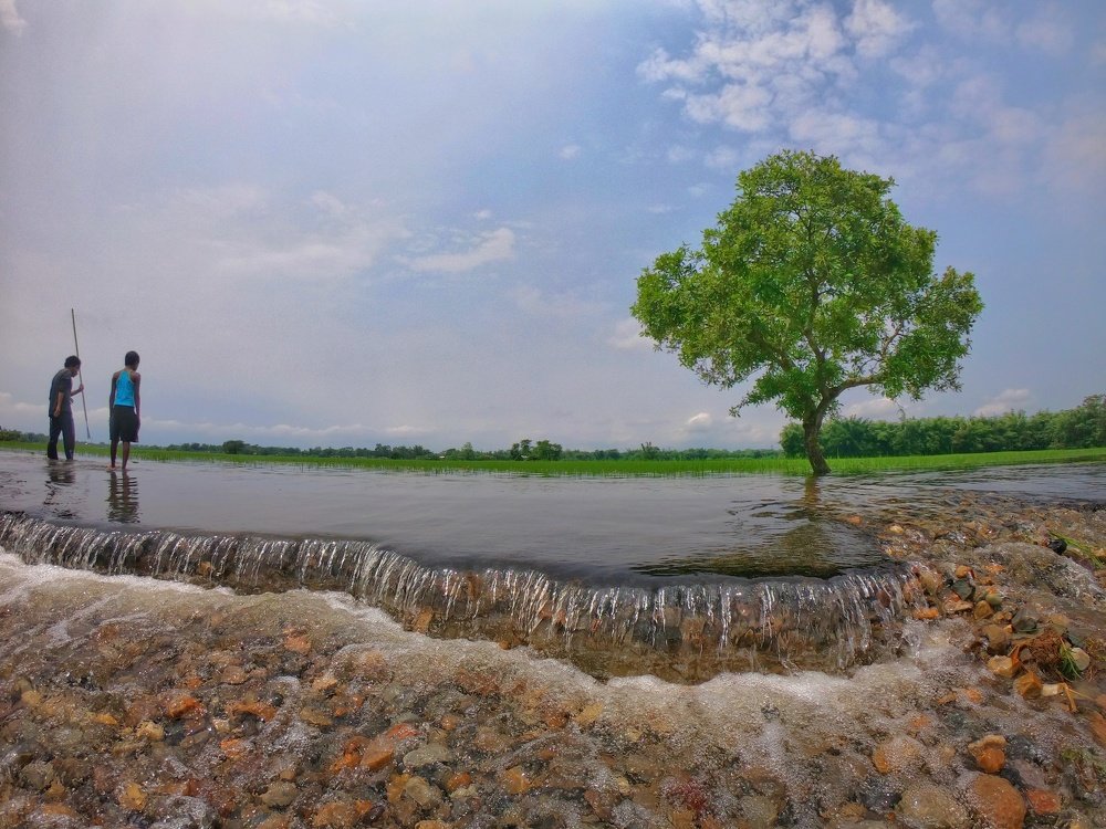 Photograph by Zakir Hussain