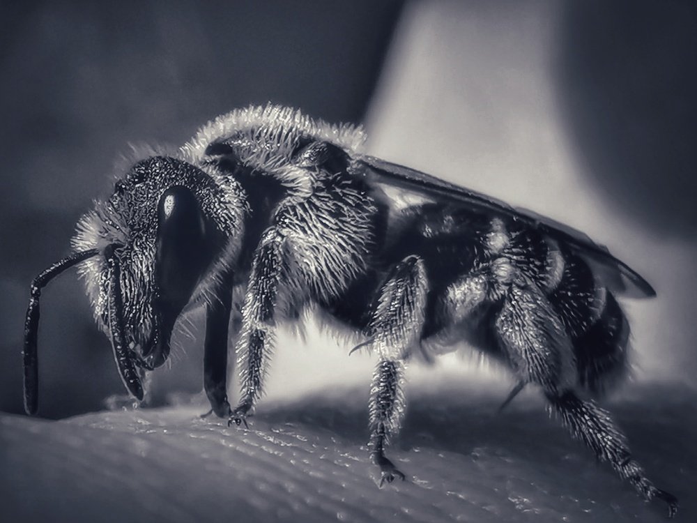 Photograph by Сергей Таранов