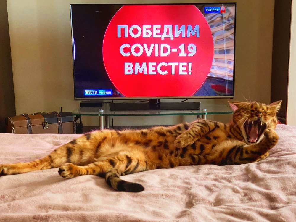 Photograph by Анна Шанёва