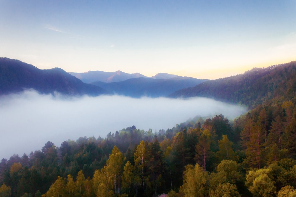 Photograph by Анастасия Полищук