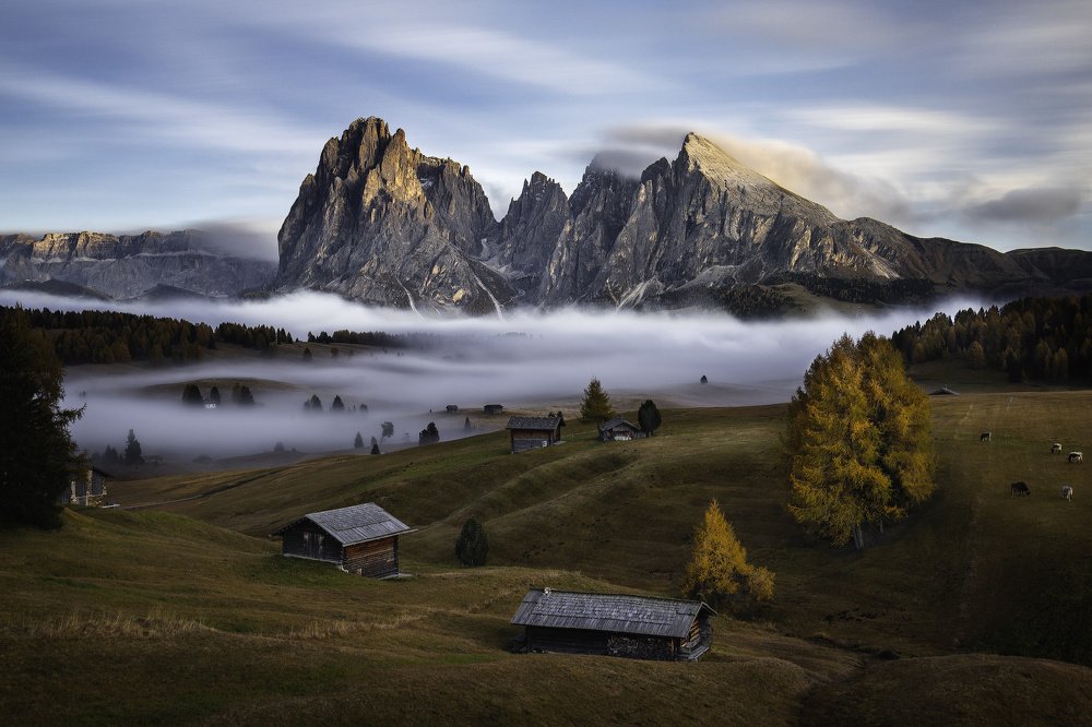 Фотография автора Adrian Misiak