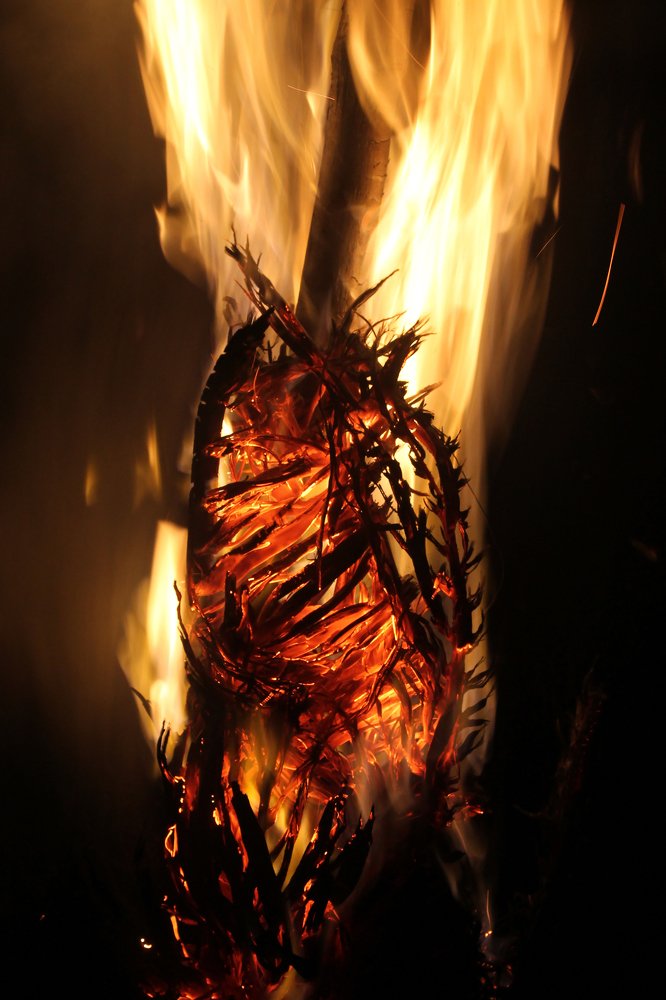 Beauty of fire.