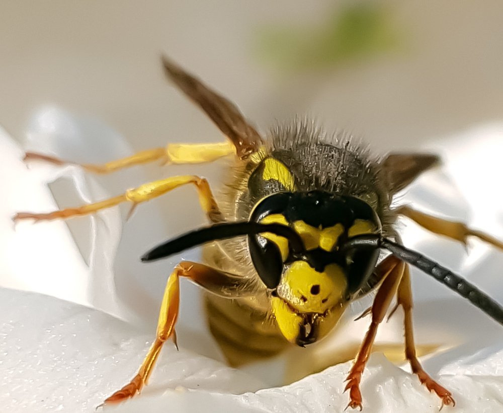 Photograph by Ray Snider