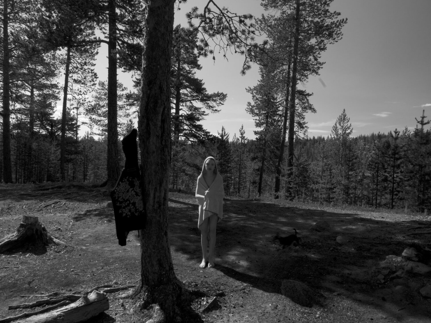 Photo #4708814