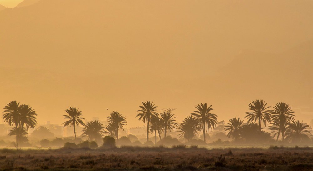 Фотография автора Ismail SAIDI