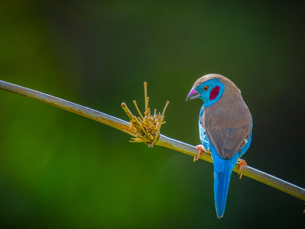 Photograph by Kirkamon Cabello