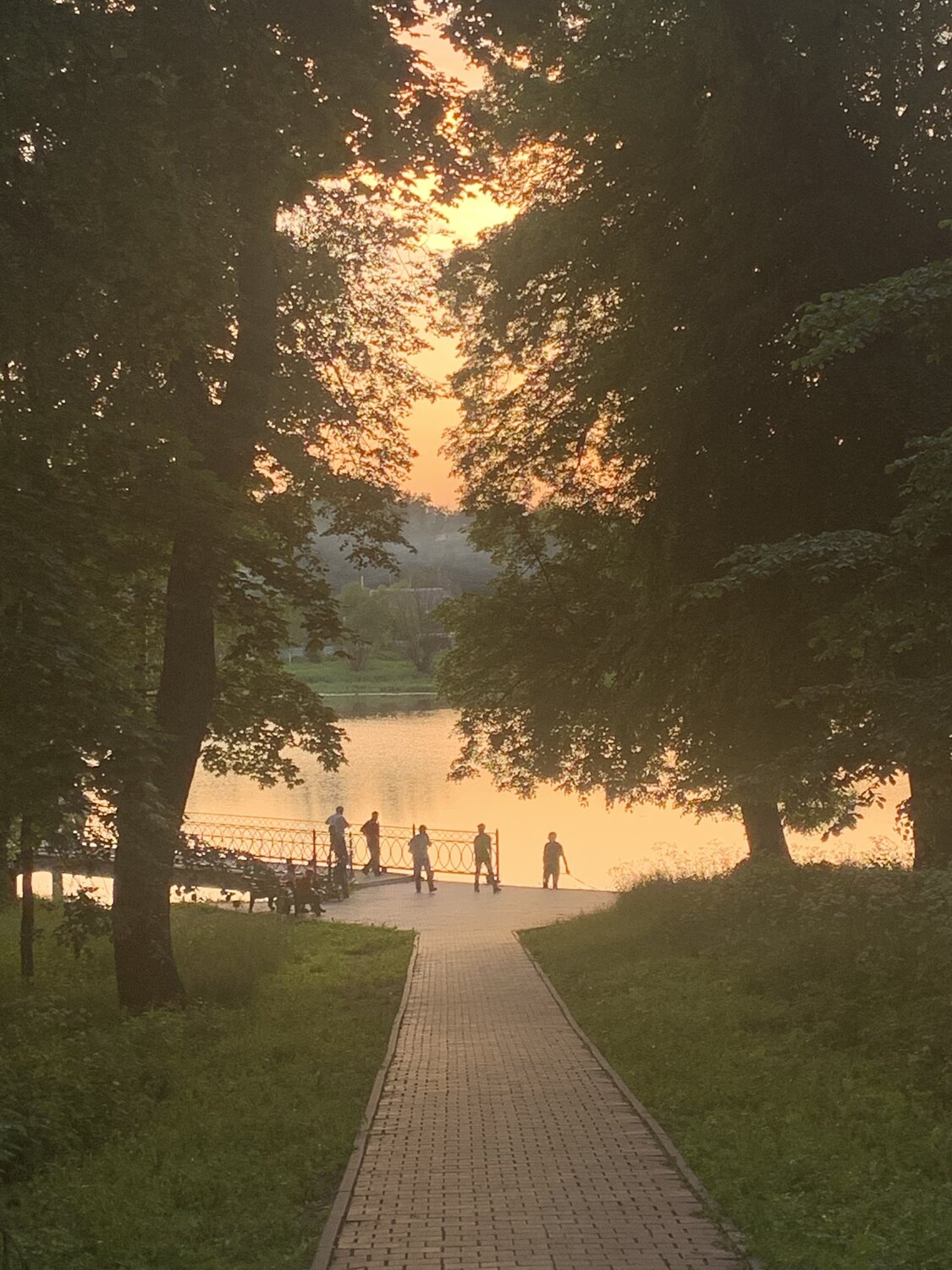 Photo #4708914