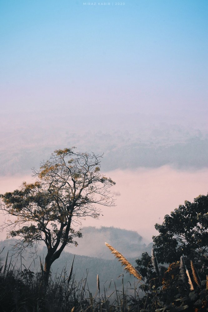 Photograph by Md. Miraz Ul Kabir