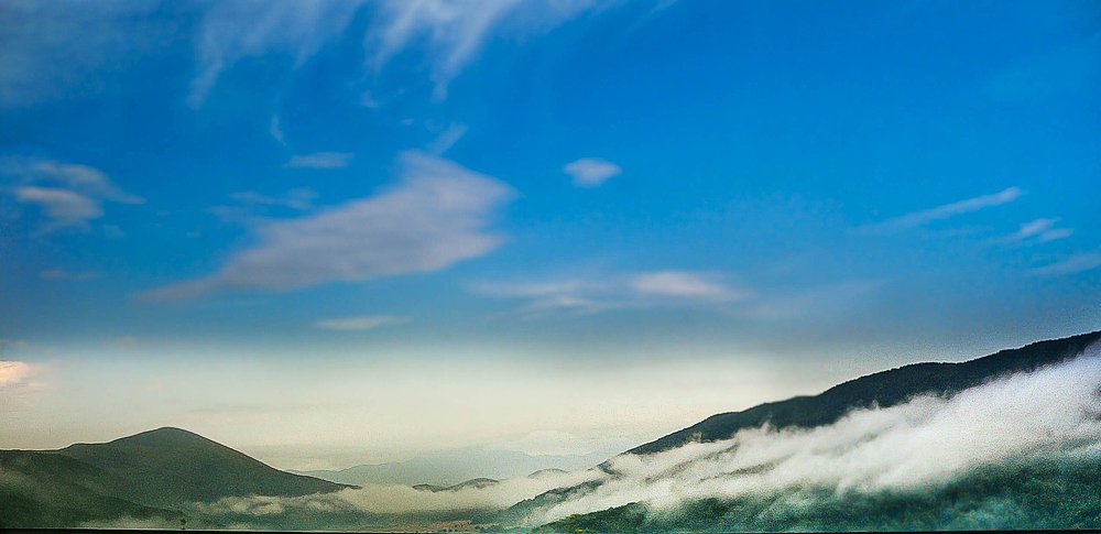 Photograph by Елена Плахотько