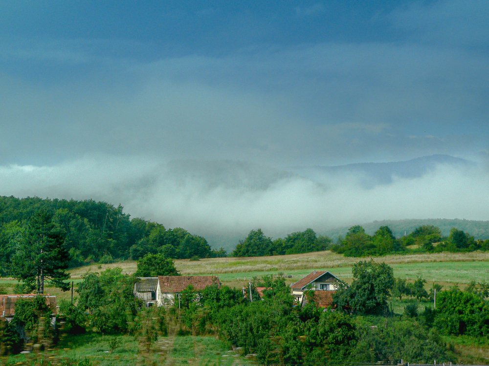 Photograph by Елена Плахотько