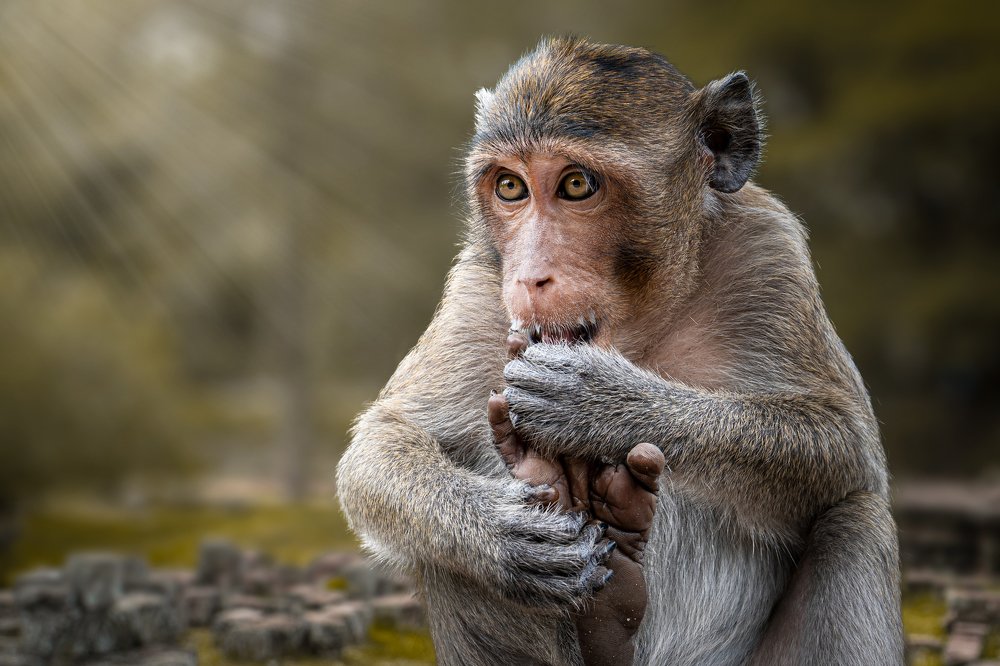 Photograph by Jean pierre