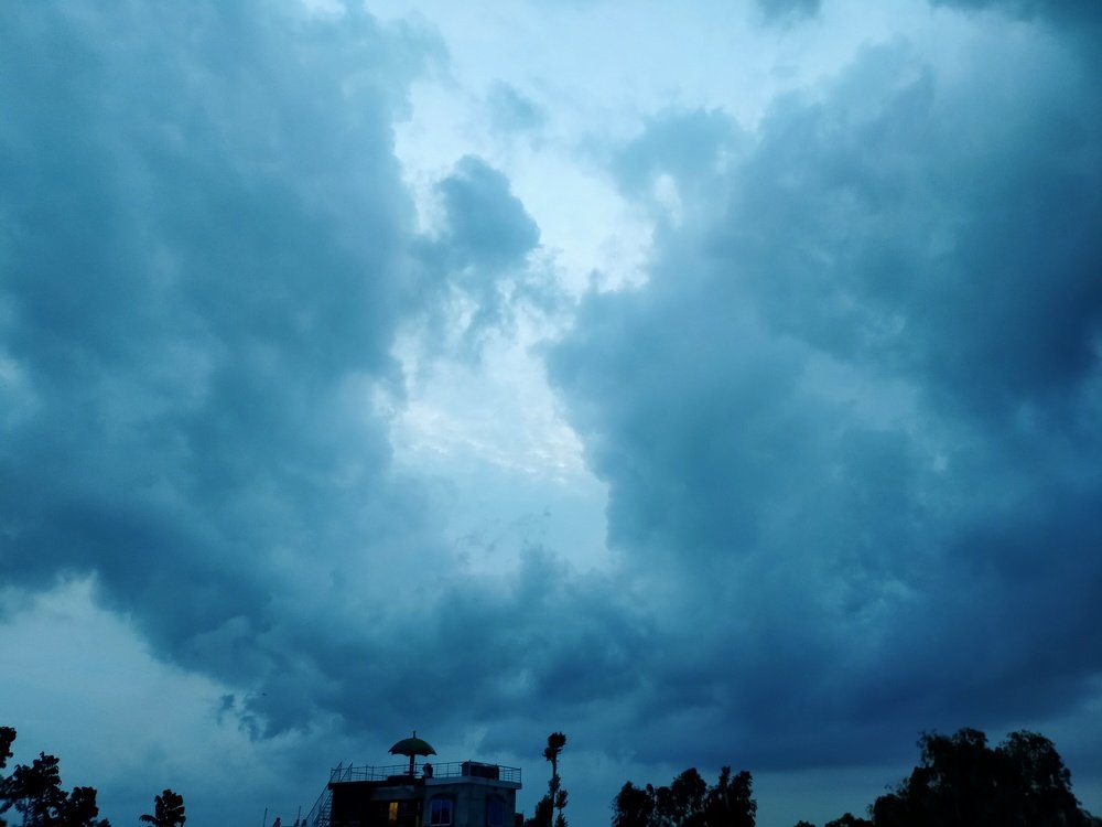 Photo #4709029