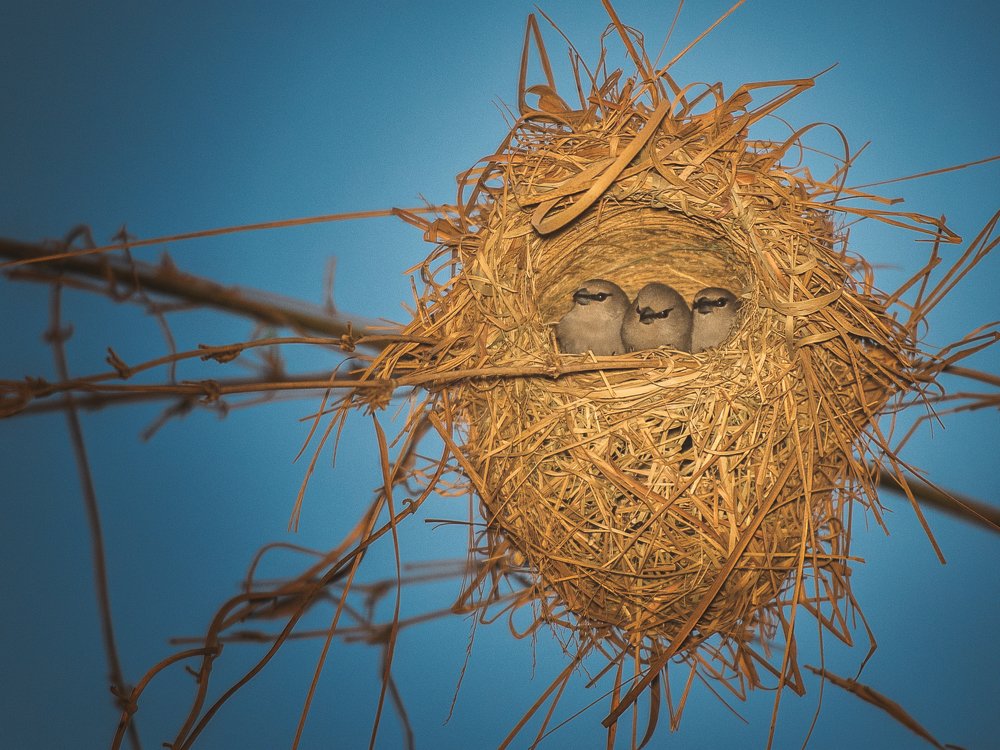 Photograph by Kirkamon Cabello